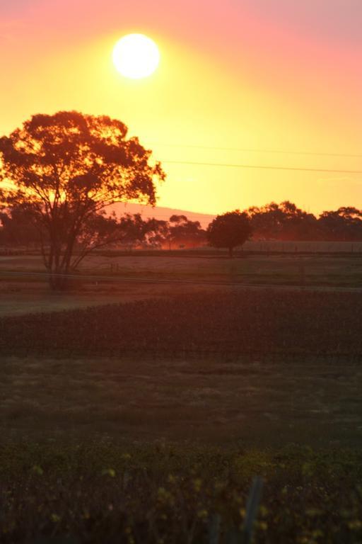 The Vineyard Motel Cowra Exterior foto