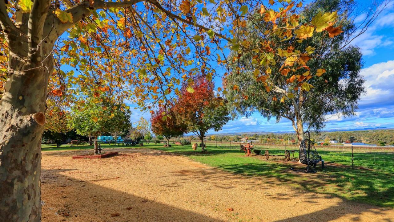 The Vineyard Motel Cowra Exterior foto