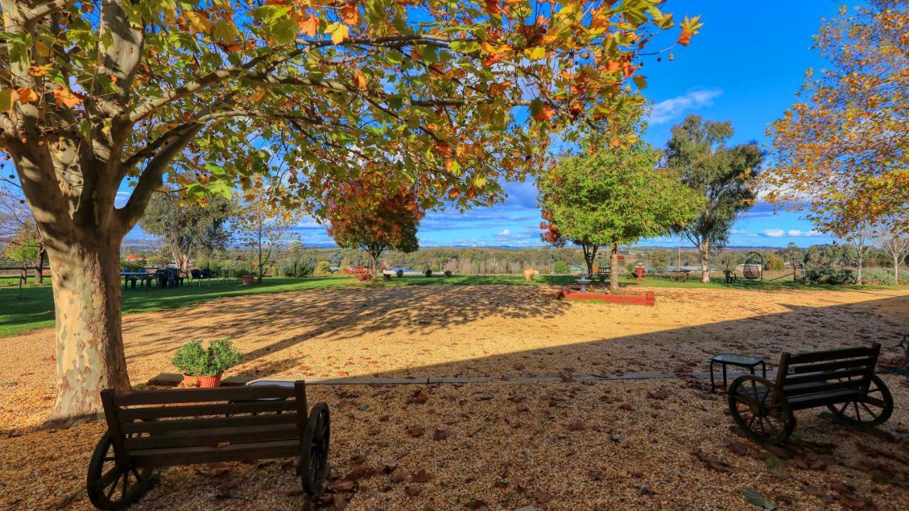 The Vineyard Motel Cowra Exterior foto